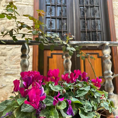 White Garden Hotel-adult Only Hotel